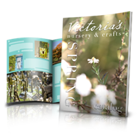 Catalogs 8.5" x 11"