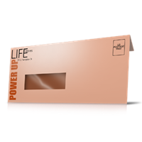 Envelopes - Window